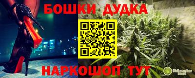 спиды Аша