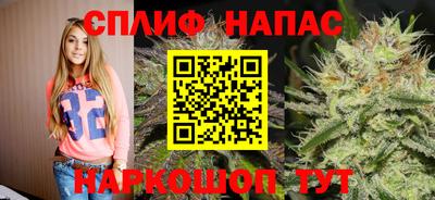 спиды Аша