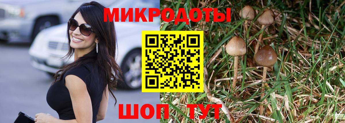 Псилоцибиновые грибы GOLDEN TEACHER  цена   Вход с VPN  Нефтеюганск  Галлюциногенные грибы прущие грибы 